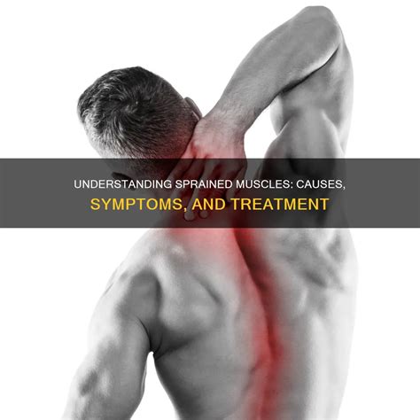 Understanding Sprained Muscles: Causes, Symptoms, And Treatment | CyVigor