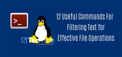 Image result for File Commands in Linux
