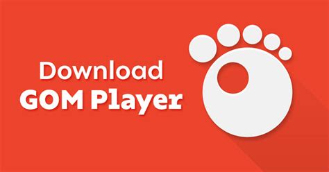 Install GOM Player 的图像结果