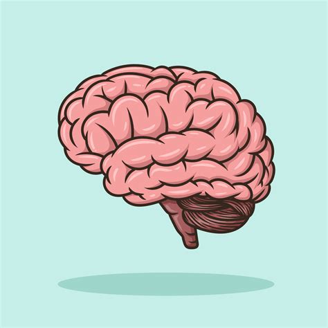 Animated Brains