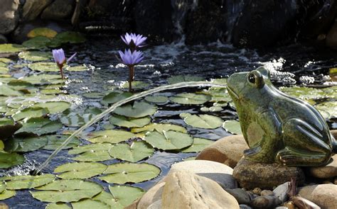 How Do Pond Spitters Work at Hazel Barrett blog