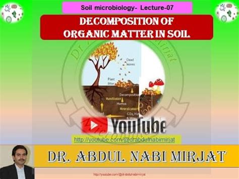 Image result for Decomposition Explained