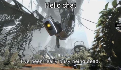 Image result for Hello Chat Meme