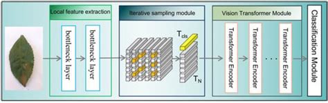 Study on the Tea Pest Classification Model Using a Convolutional and ...