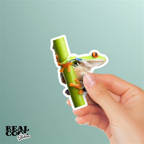 Tree Frog Sticker Tree Frog Stickers Green Frog Decal - Etsy