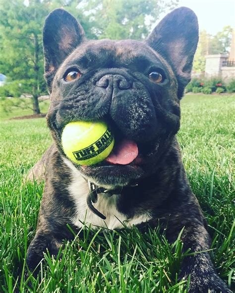 Melissa O'Neil Bio, Age, Height, Net Worth, & Boyfriend