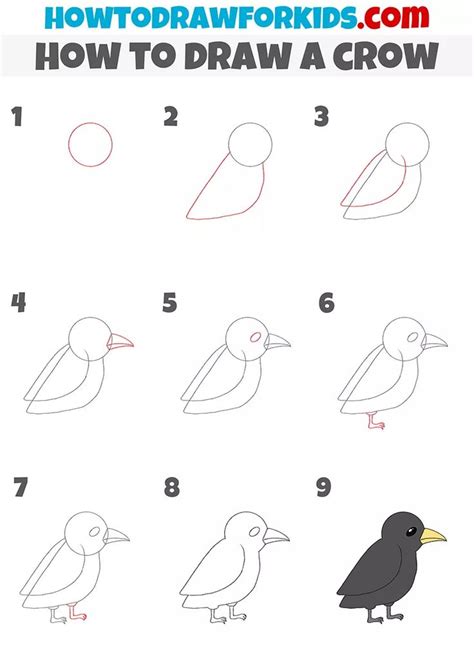 Image result for Crow Drawing Tutorial