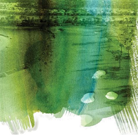 Image result for Golf Course Colorant Application