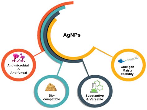 Silver Nanoparticles in Dental Applications: A Descriptive Review