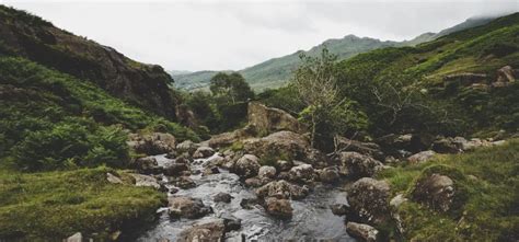 Lohr & Barb Funeral Home & Cremation Services | Elkins & Parsons, WV