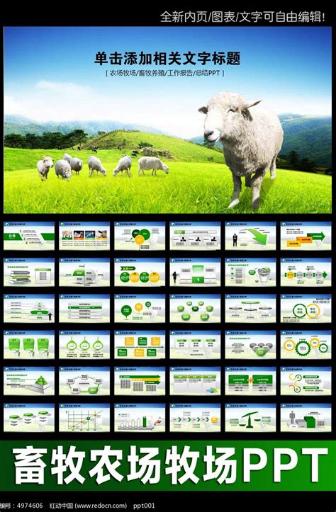 畜牧 养殖 农业展板设计图__展板模板_广告设计_设计图库_昵图网nipic.com