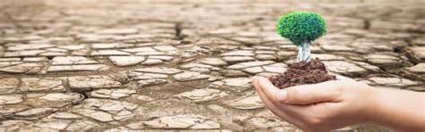 Land Degradation Neutrality Certification Standard