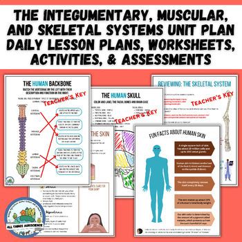 Image result for Magic Bone Lesson Plan