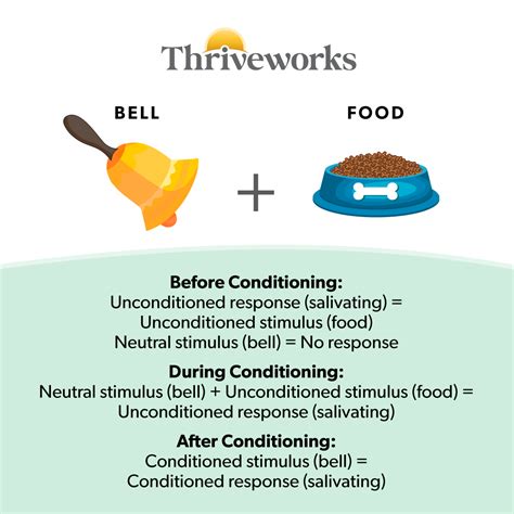 What Is a Conditioned Stimulus?