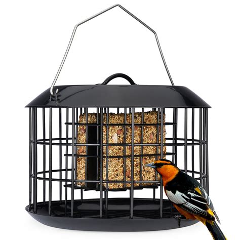 Squirrel Proof Suet Block Bird Feeders at John Mellon blog