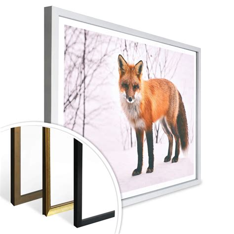 Poster Fox in the Snow (2 parts) | wall-art.com