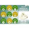 Mushroom 4KG White Milky Mushrooms 1st Generation Spawn/Seeds Mycelium ...