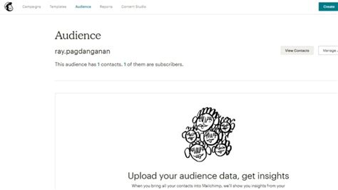 MailChimp Tutorial 2021 的图像结果