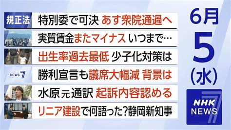 規正法改正案 特別委で可決 あす衆院通過へ | NHKニュース7 | NHK
