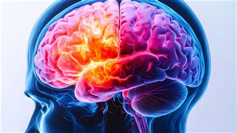 Deadly brain cancer can alter skull, immune response: Study - The Columns