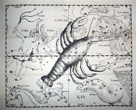 巨蟹座 (星座日期：6月21日 ~ 7月22日) - 占星之门