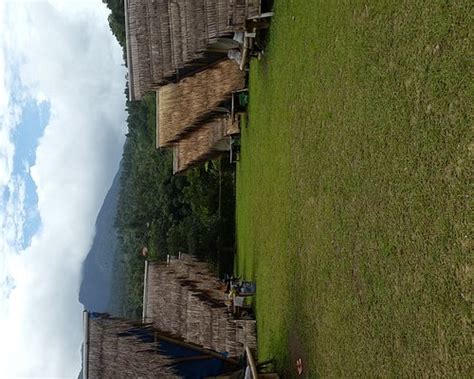 ALANG ALANG NATURE CAMP (Bogor) - Campground Reviews & Photos - Tripadvisor