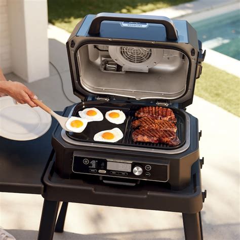 Ninja 10-Pack Ceramic Grill Pan in the Grill Cookware department at ...