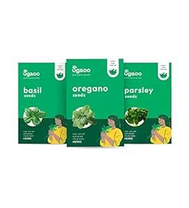 UGAOO Herb Seeds Combo Of Italian Basil, Oregano, Parsley : Amazon.in ...