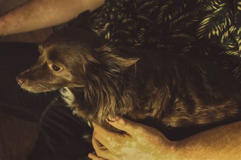 Image result for Alien Self Disorder Akbar