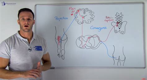 Referred Pain Explained | Somatic&Visceral Pain Neurophysiology - mechanism of referred pain