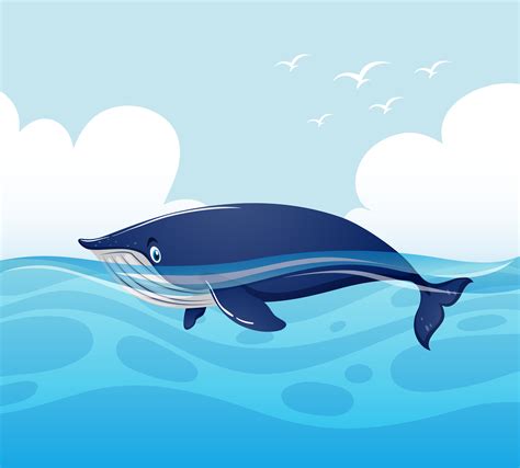 Blue whale swimming in ocean 369030 Vector Art at Vecteezy