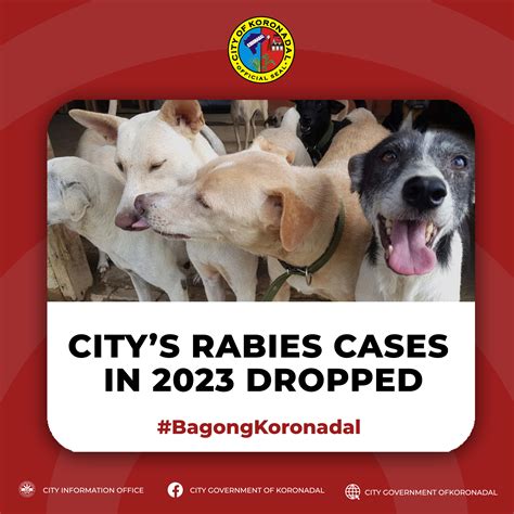 Rabies Cases Nyc at Rose Perez blog