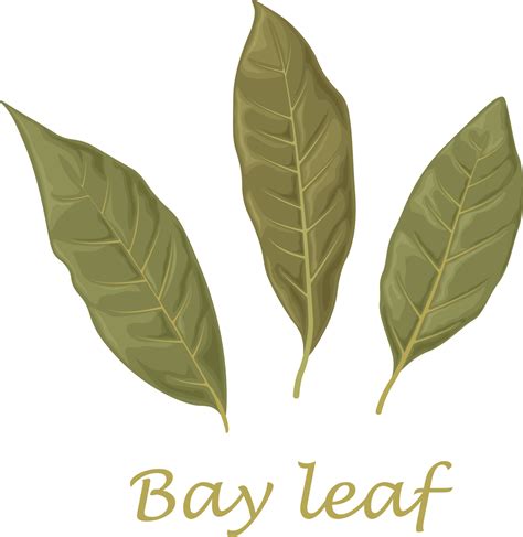 Dried Bay Leaf