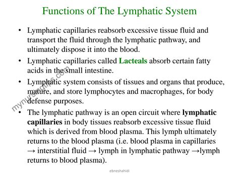Image result for Lymphatic System Tutorial