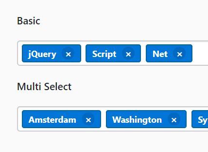 Dynamic Tags Input With Autocomplete Using AJAX | jQuery Plugin