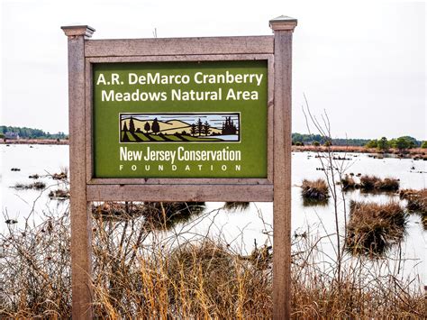 The Franklin Parker Preserve: A Natural Treasure