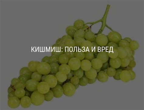 Кишмиш – полезные свойства и химический состав винограда ...