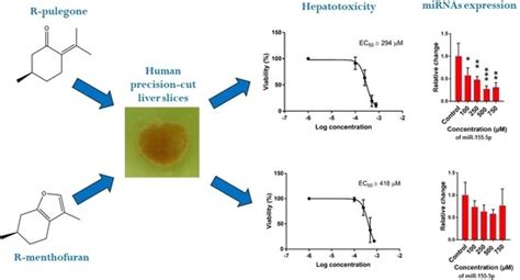 IJMS | Special Issue : Hepatotoxicity: Molecular Mechanisms and ...