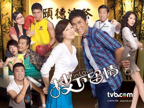 Phim TVB Fafilm VN phát hành năm 2010 9738752 | Rongbay.com
