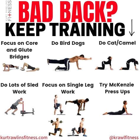 Image result for AB Exercises Bad Back