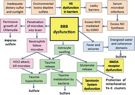 Entropy Disorder 的图像结果