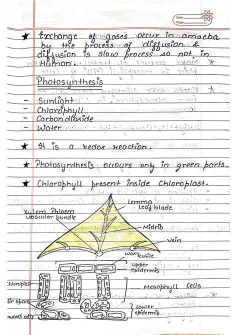 Class 10 Bio Chapter 1 的图像结果