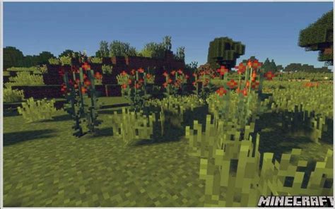 Image result for Placebo Mod Minecraft