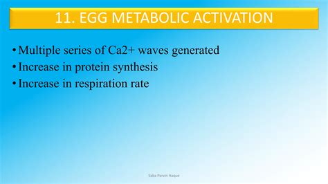 Image result for Human Internal Fertilization