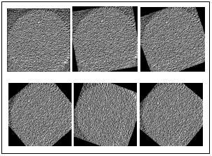 Image Rotation Tutorial 的图像结果