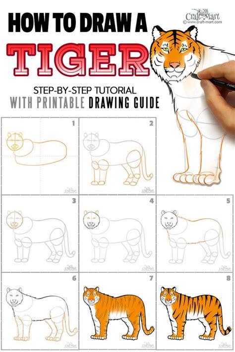 Image result for Drawing a Tiger