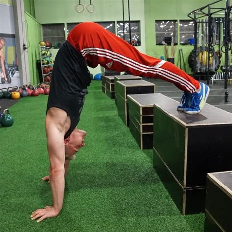 Image result for Handstand Push-Up Muscles Worked