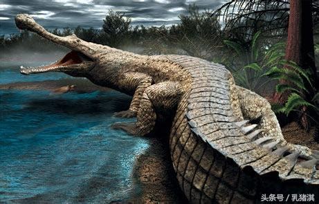 史前巨鳄|故事片 |数字王国