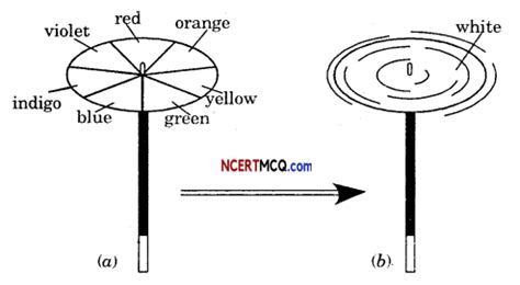 Image result for Chapter Light Questions Class 7