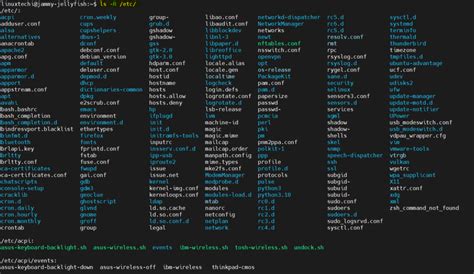 Image result for Unix Ls Command Examples
